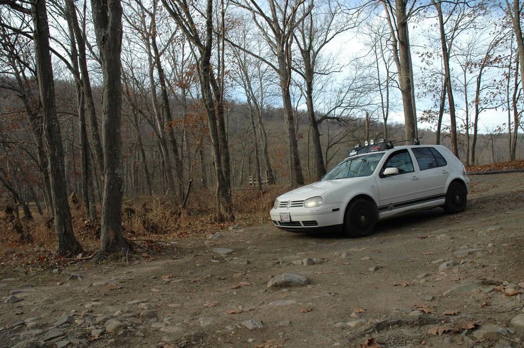 MKIV Golf