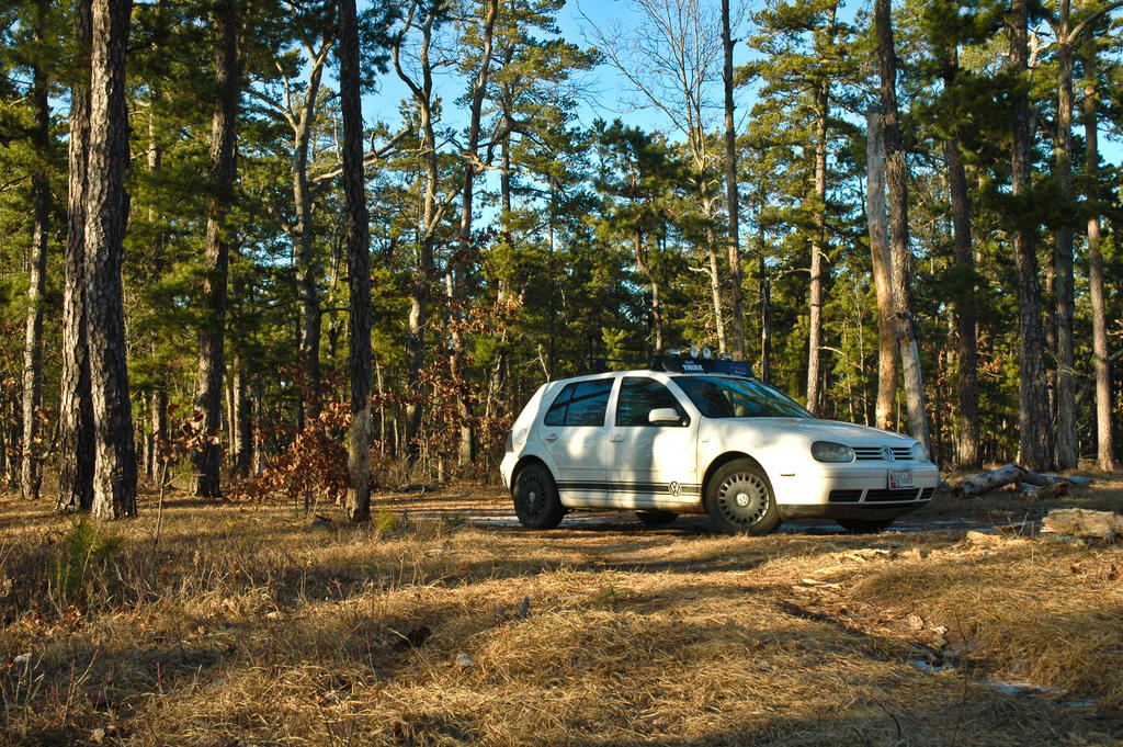 Barrens