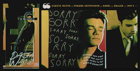 sorry // signature + avatar