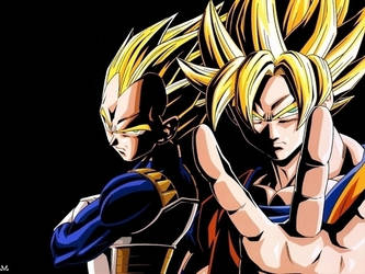 Goku and Vegeta