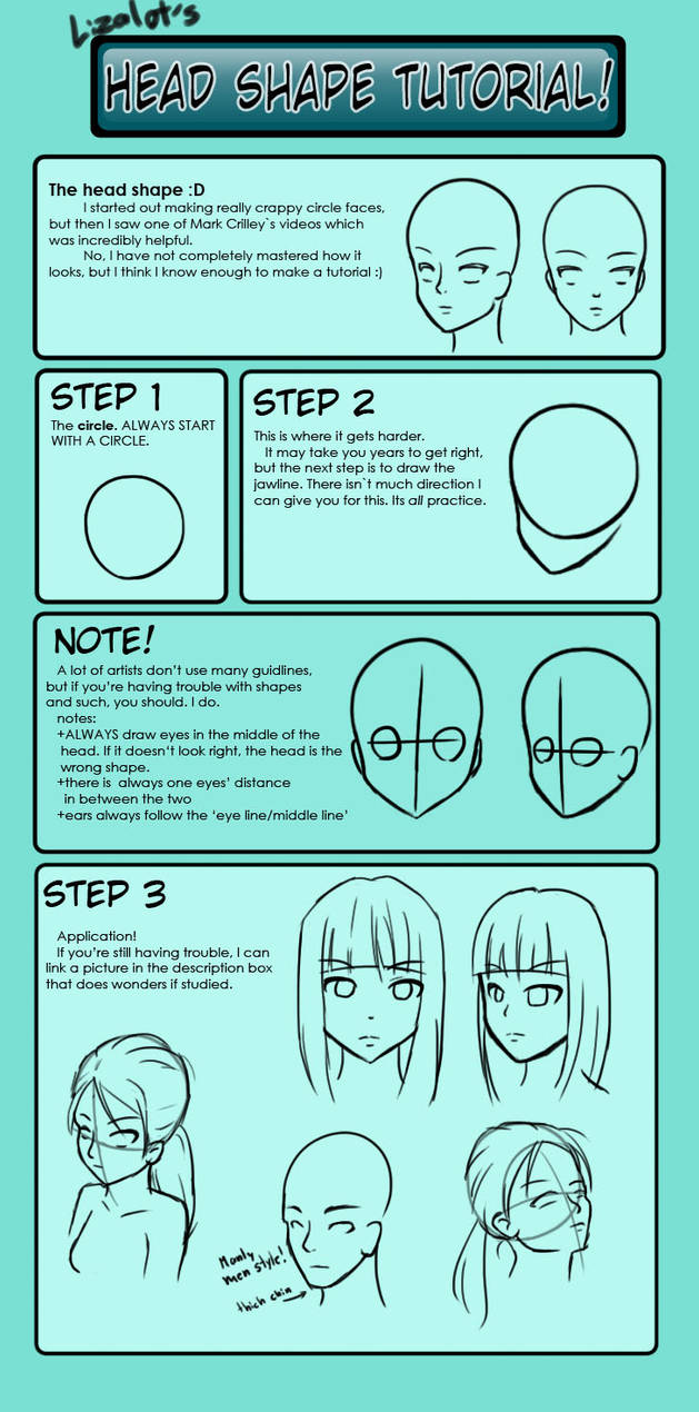 Head shape tutorial by Lizalot on DeviantArt