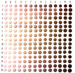 Skin Tone Swatches