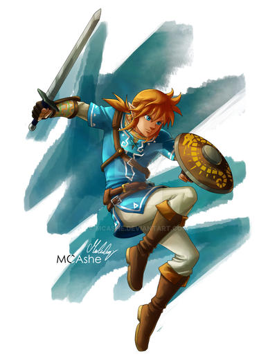 Link : The Legend of Zelda Breath Of The Wild
