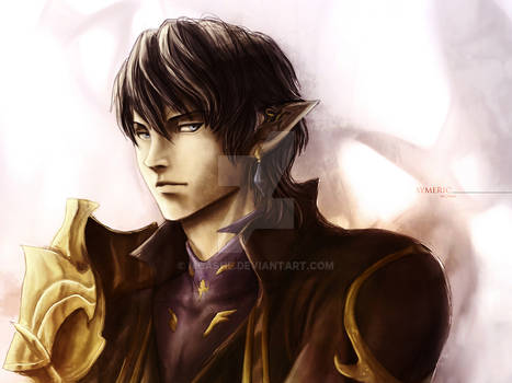 Ser Aymeric de Borel