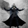 One winged Angel