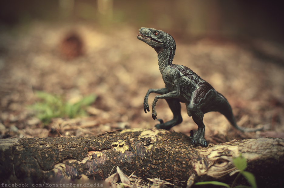 Day 91 - Raptor by MonsterBrand