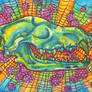 wolf skull acidic