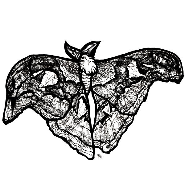 Attacus Atlas Pattern Attacus atlas by HiddenStash on DeviantArt