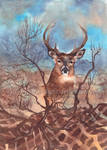 Whitetail by TokyoMoonlight