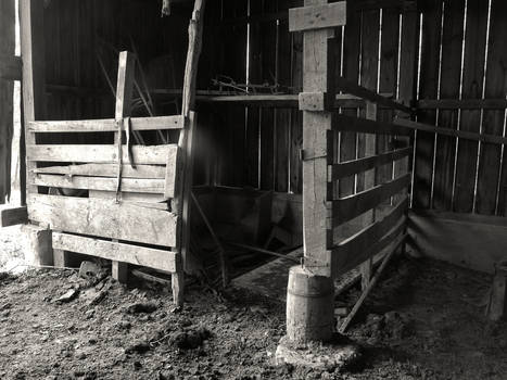 Empty Stall