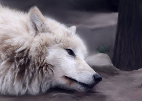 Wolf Painting