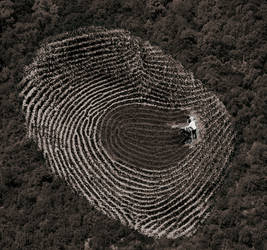 Fingerprint Of The Land