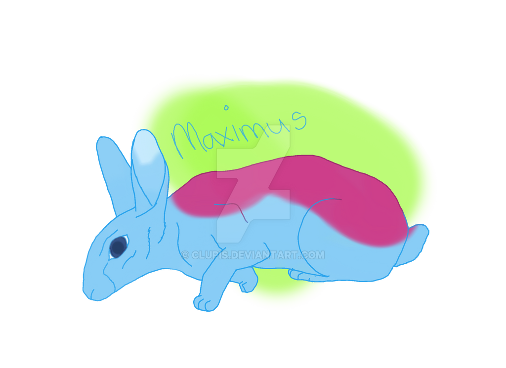Maxus Rabbit Maximus, Bunny by clupis on DeviantArt