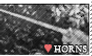 horn love stamp