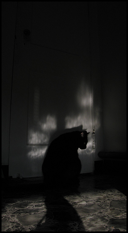Morgenlicht. by Azzua