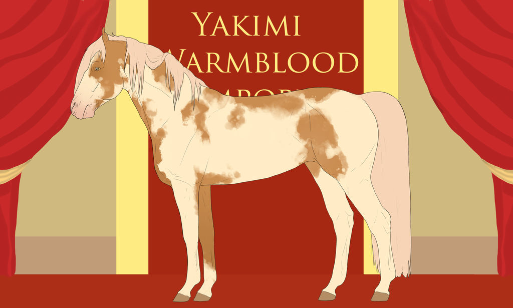 Yakimi Warmblood Import #39