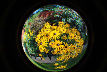 Flower Bowl