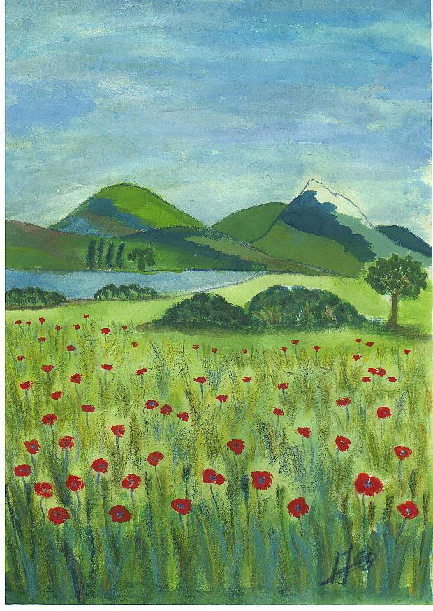 coquelicots...paysage