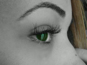 Green Eye Envy