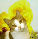 Cat infront of explosion