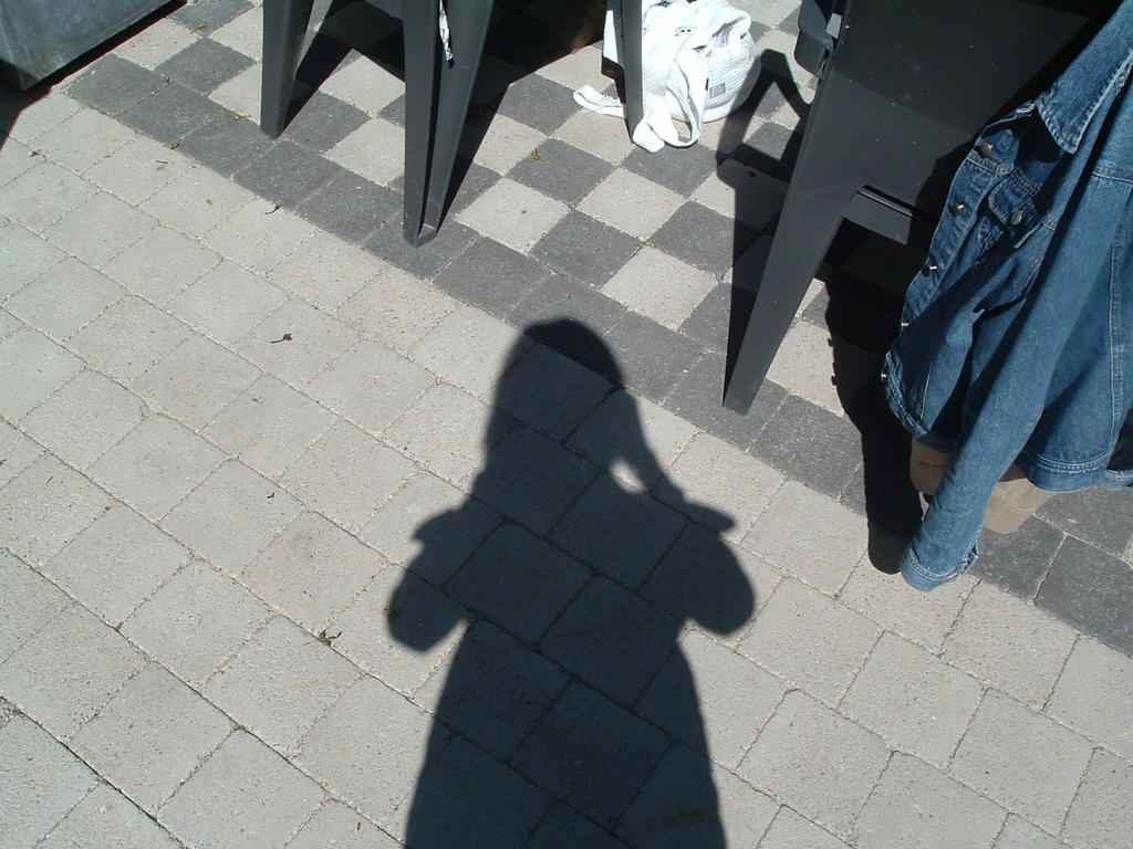 Faster than my shadow by DeborahBeeuwkes on DeviantArt
