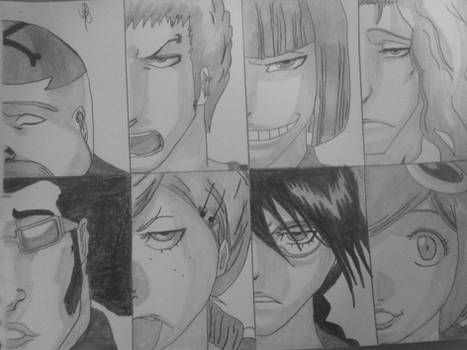 Bleach: Team Vizards