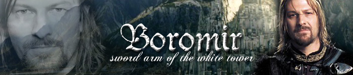 Boromir sword arm Banner