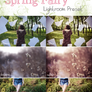 LR preset: Spring Fairy