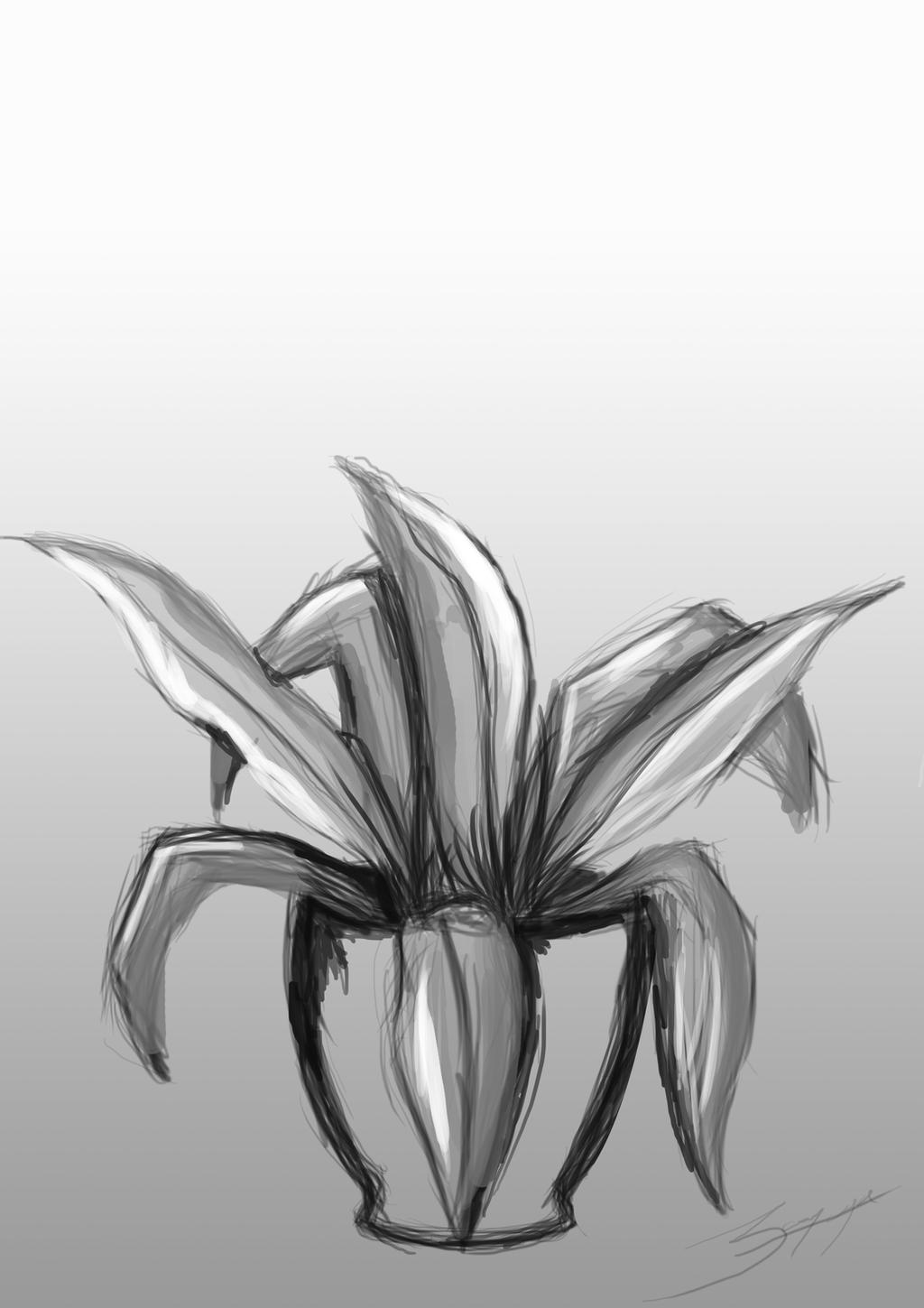 Plant Deviantart Plant by creativeants on DeviantArt