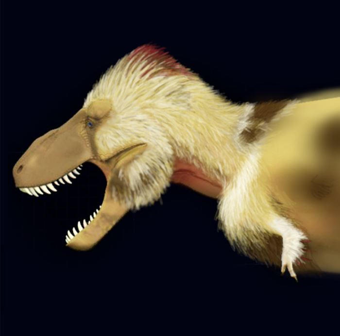 T Rex Wingstack T. rex Feather Concept by Sainte-Vincient on DeviantArt