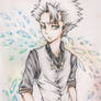 Bleach: Hitsugaya Toshiro 2