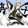 Captain Hitsugaya Toshiro