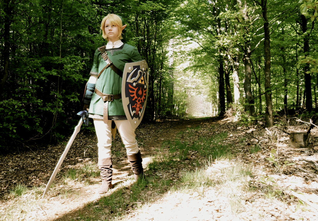 Cosplay: Going out to save Hyrule
