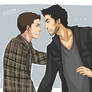 Sterek