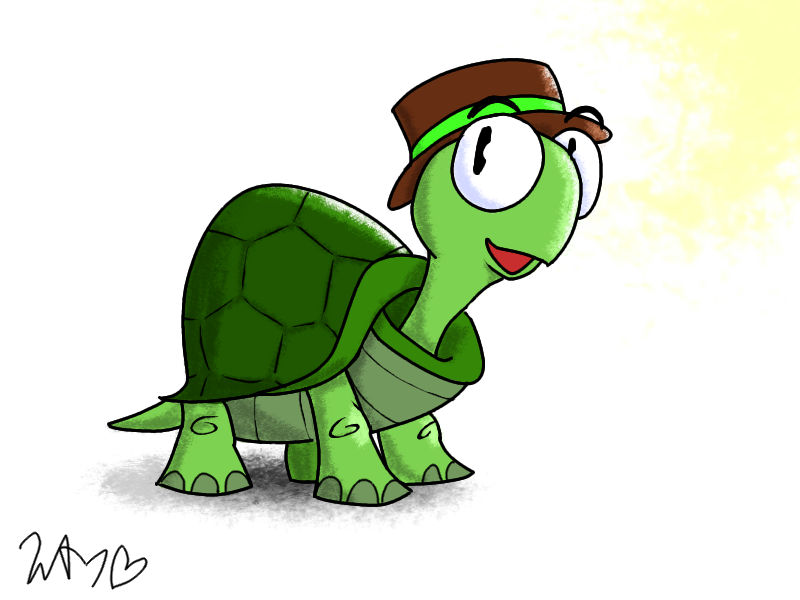 A Turtle With A Hat by peepo2399 on DeviantArt