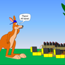 Kangaroo setting up a Fireworks Display (Part 4)