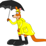 Kangaroo in Raincoat