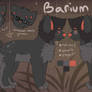 Barium reference sheet