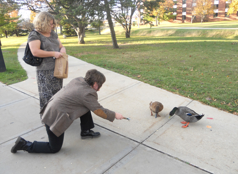 Sonicing the Ducks