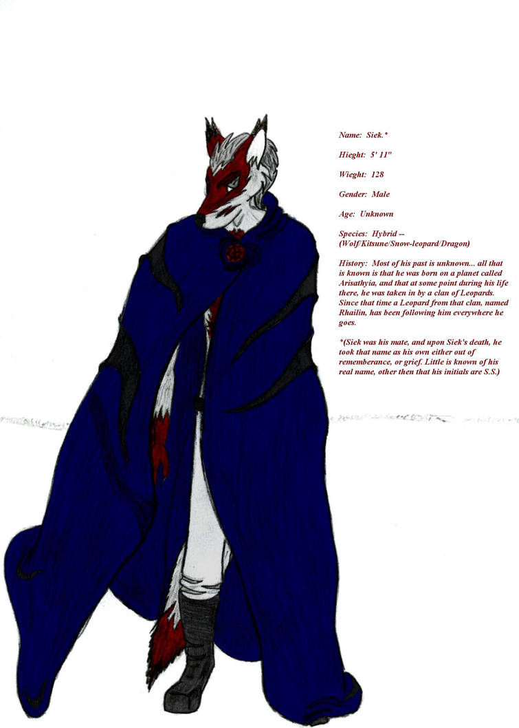 Character Sheet by Siek on DeviantArt
