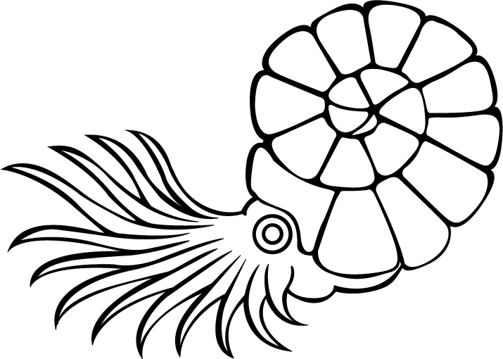 Nautilus Template by Rabbitmanrulez on DeviantArt Nautilus Template by Rabbitmanrulez on DeviantArt