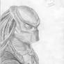 predator pencil drawing