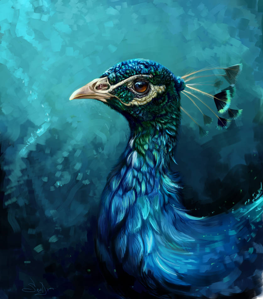 Peacock by SalamanDra-S