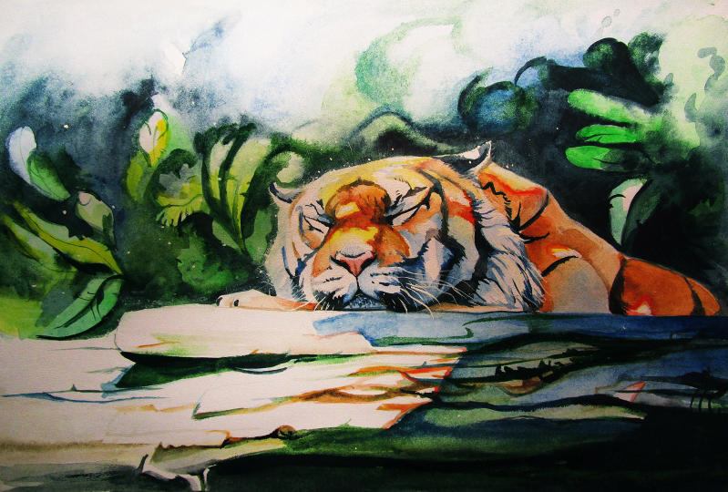 Тигр лень. Тигр акварель. Солнечный тигр. Тигренок рисунок акварель. Спящий тигр рисунок.