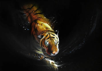 Tigerrrrrrrrrrrrrrrrr