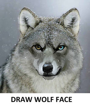 Draw wolf face