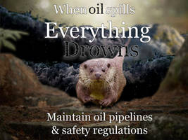 When Oil Spills...
