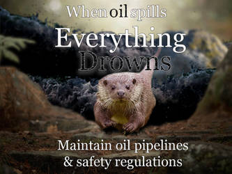 When Oil Spills...