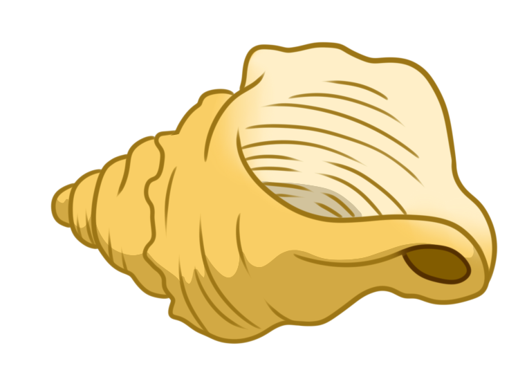 Conch Shell by TheBloodlineQueen on DeviantArt