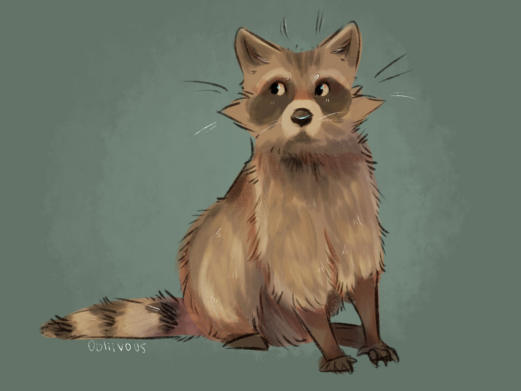 Raccoon by Obliivous on DeviantArt